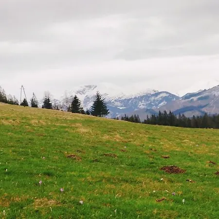 U Holka Chalet Witow (Tatra)