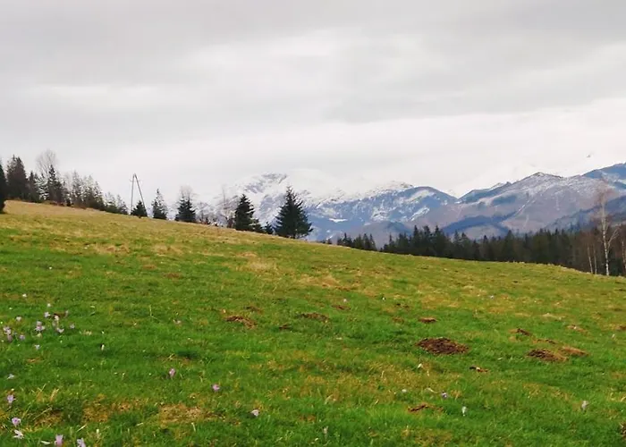 U Holka Chalet Witów